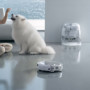DJI ROMO P2 : Robot aspirateur-laveur