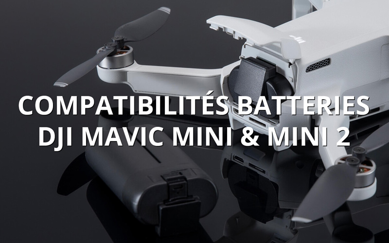 Compatibilité batterie drone DJI Mavic Mini et DJI Mini 2