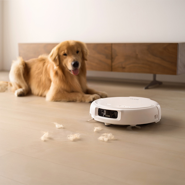 Nettoyage de poils d'animaux par le DJI ROMO S
