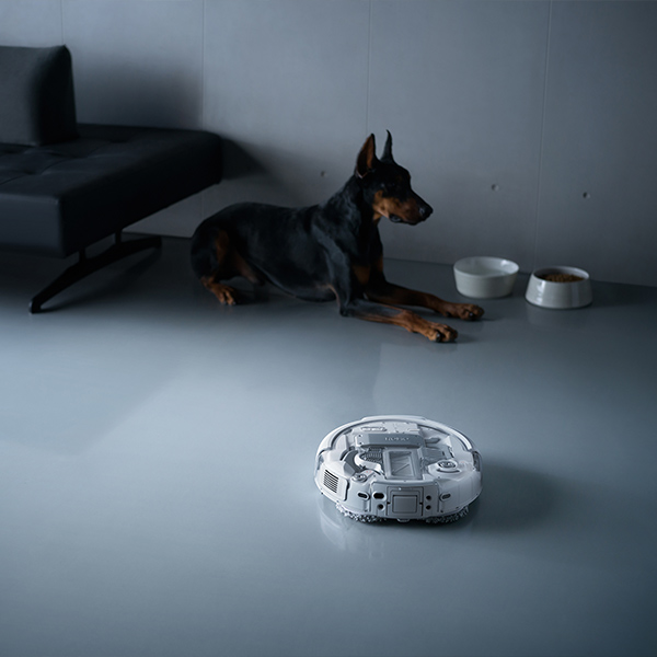 Détection du coin animal par le DJI