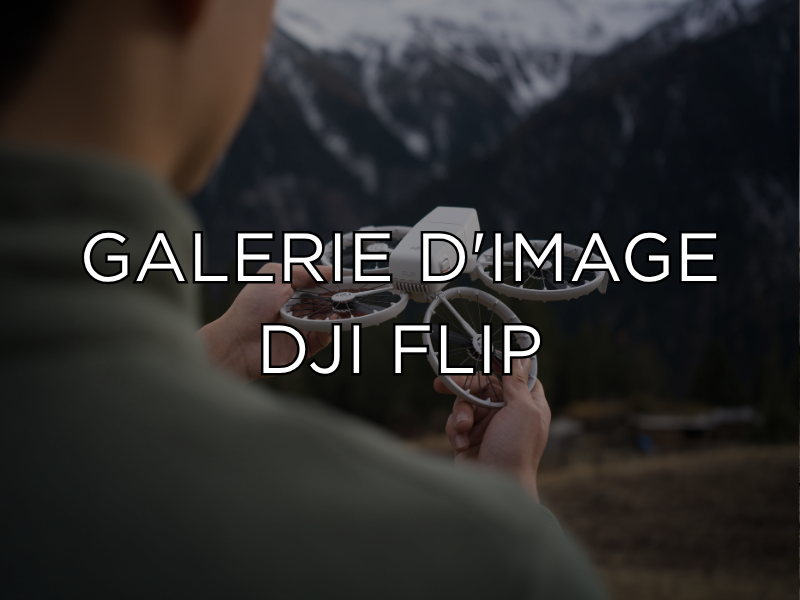 Galerie d'image DJI Flip